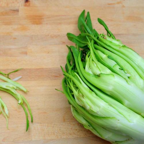 Puntarelle